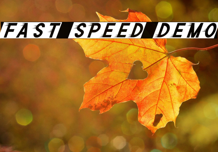 Fast Speed Demo Example 2