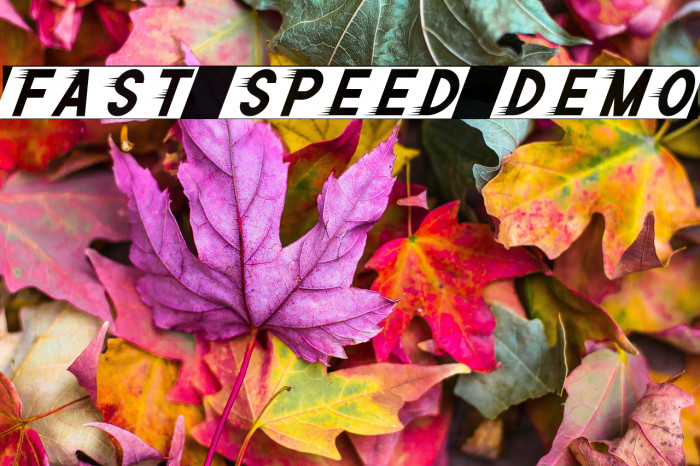 Fast Speed Demo Example 3