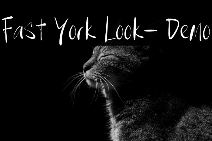 Fast York Look- Demo Example 1