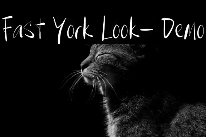 Fast York Look- Demo Fuentes examples
