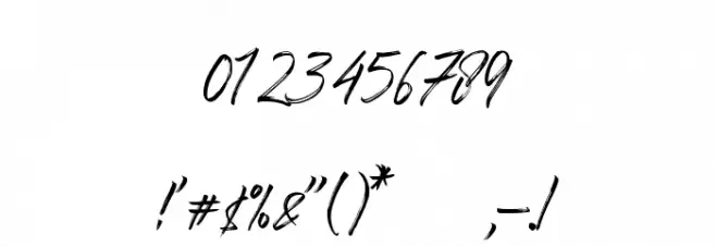 Fast Font OTHER CHARS