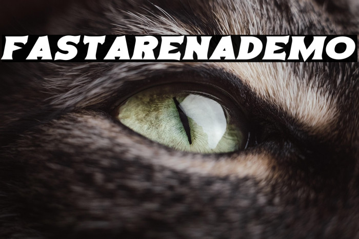 FastArenaDemo Example 3