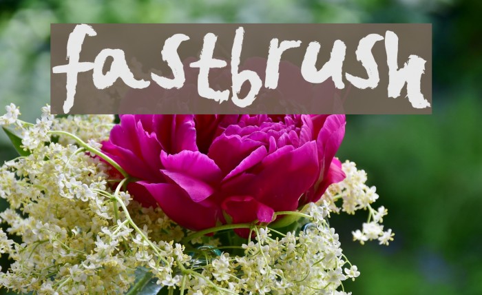 FastBrush Font examples