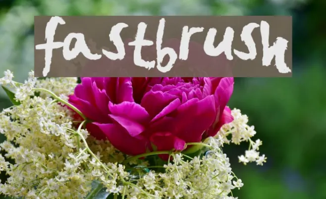 FastBrush Example 3