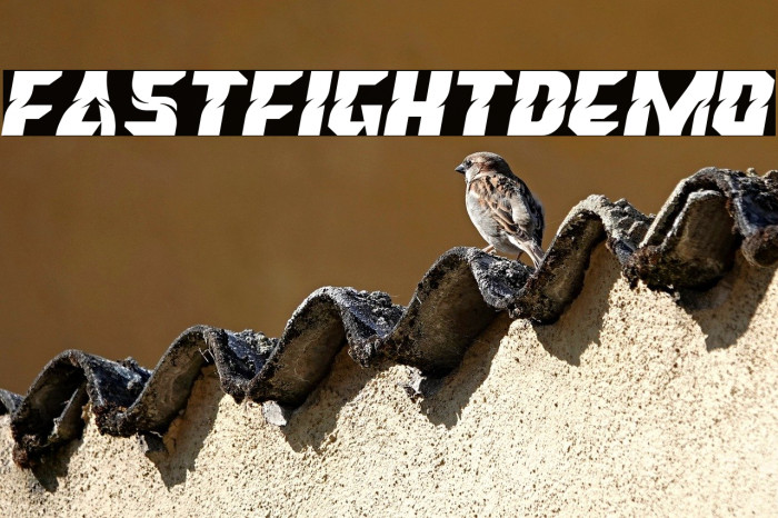 FastFightDemo Example 1