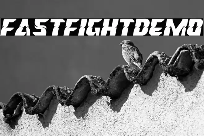 FastFightDemo Шрифта examples