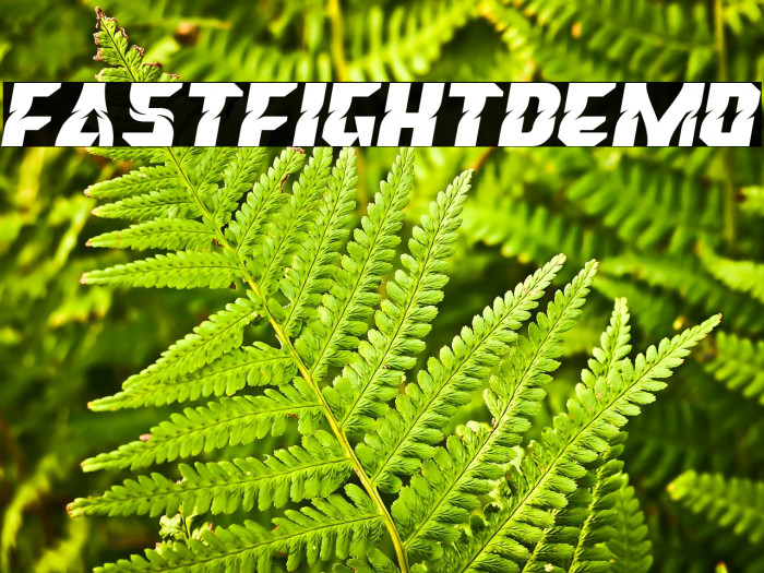 FastFightDemo Example 2