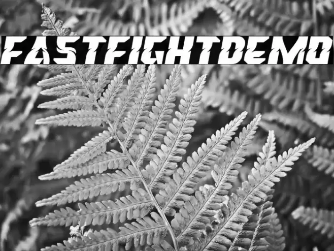 FastFightDemo Шрифта examples