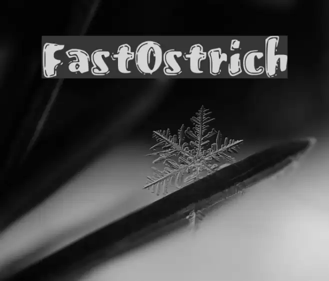 FastOstrich Font examples