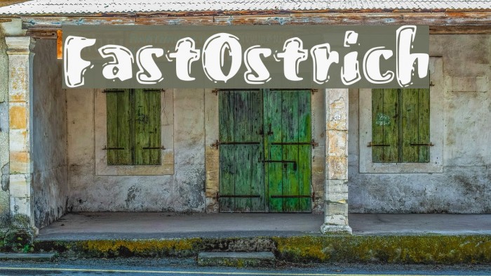 FastOstrich Font examples