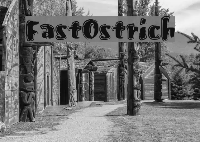 FastOstrich Font examples