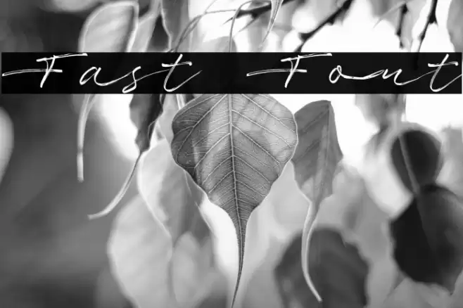 Fast Font examples
