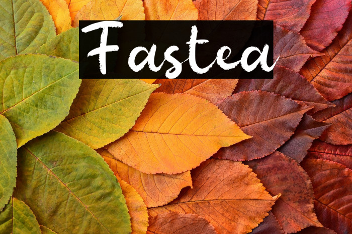 Fastea Example 2