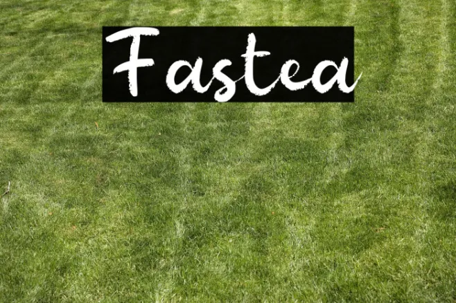 Fastea Example 3