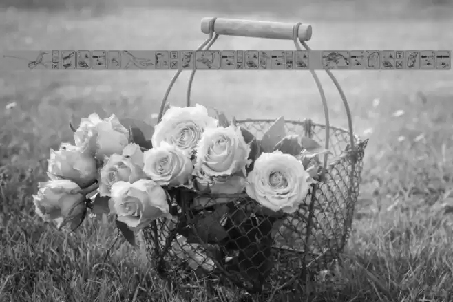 FastenYourSeatBelt Textured Font examples