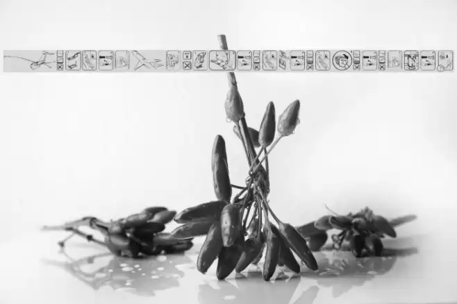 FastenYourSeatBeltClean-Reg Font examples