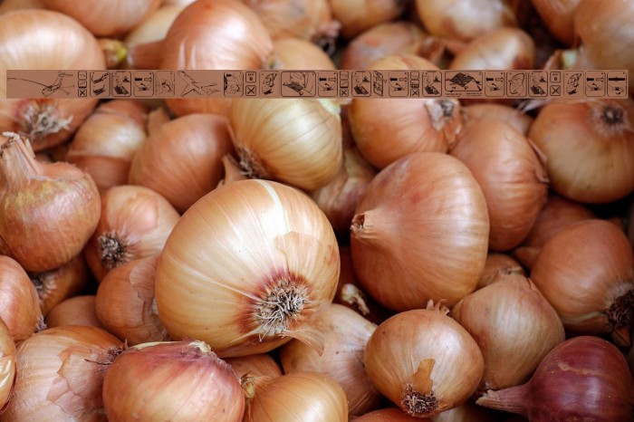 FastenYourSeatBeltTextured Example 1