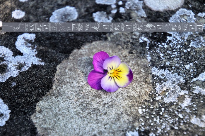 FastenYourSeatBeltTextured Example 3