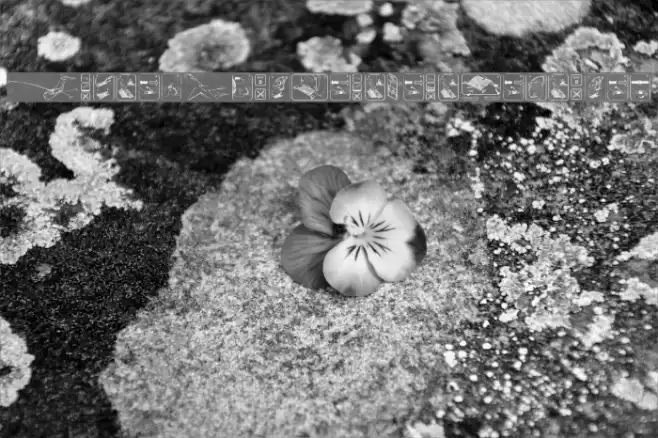 FastenYourSeatBeltTextured Font examples