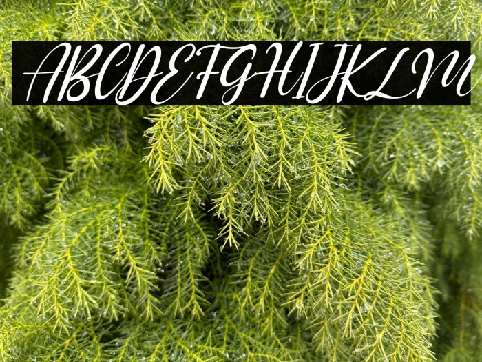 Faster Bottom Italic Example 1