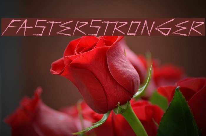 FasterStronger Font examples
