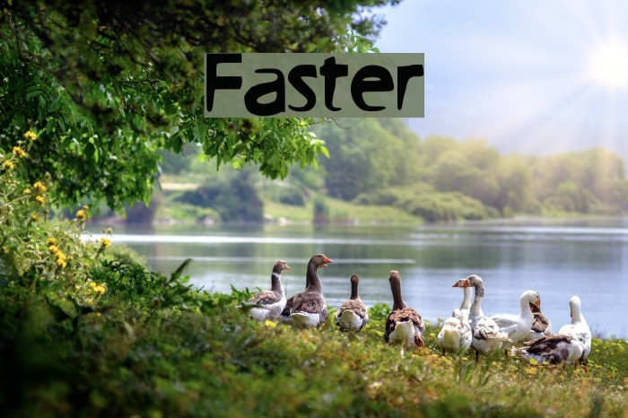 Faster Font examples
