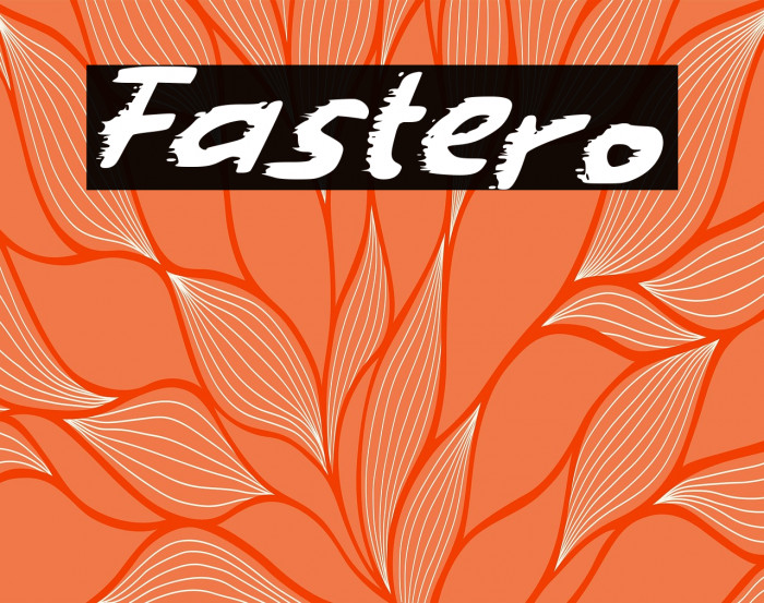 Fastero Example 2