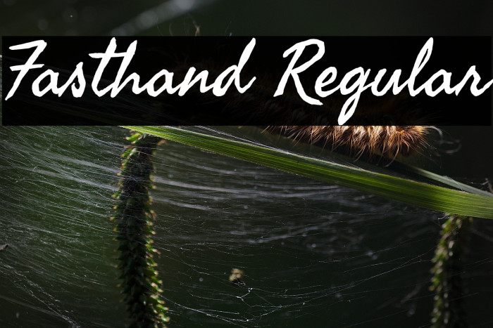 Fasthand Regular Caratteri examples