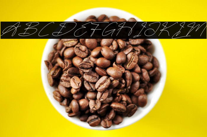 Fasthine Brooks DEMO VERSION Italic Font examples