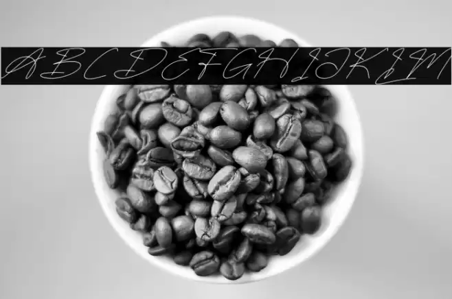 Fasthine Brooks DEMO VERSION Italic خط examples