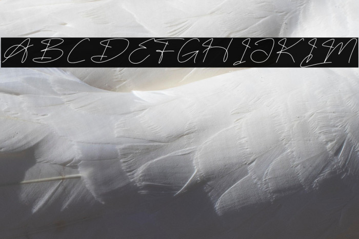 Fasthine Brooks DEMO VERSION Font examples