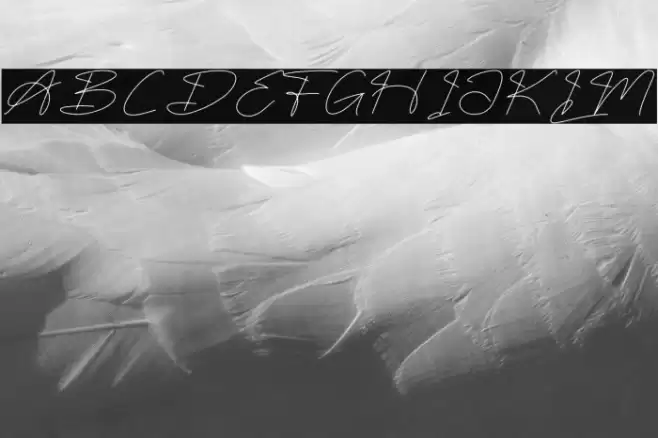 Fasthine Brooks DEMO VERSION خط examples