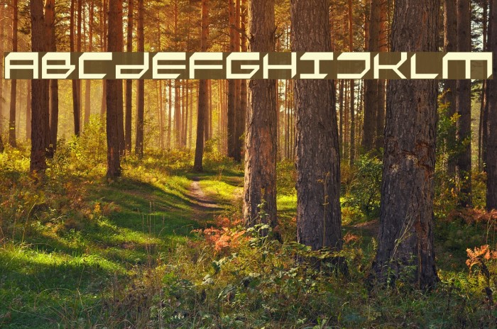 Fasto Font examples
