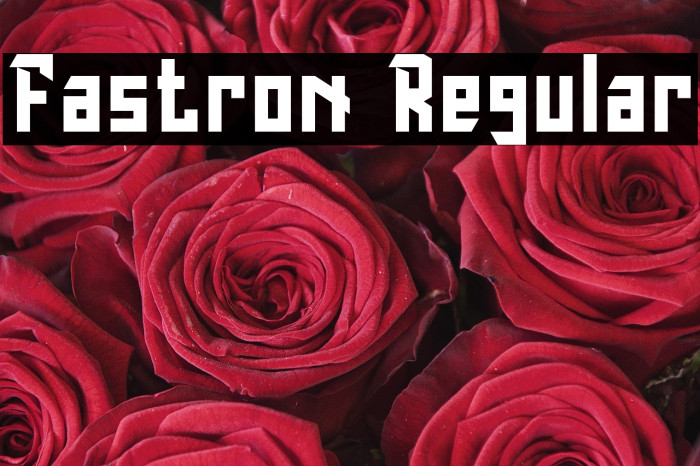 Fastron Regular Example 1