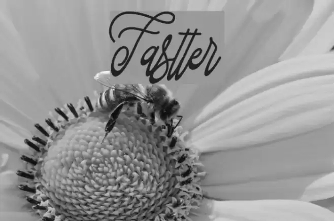 Fastter Font examples