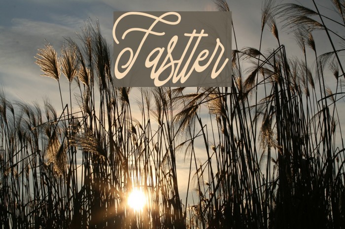 Fastter Font examples