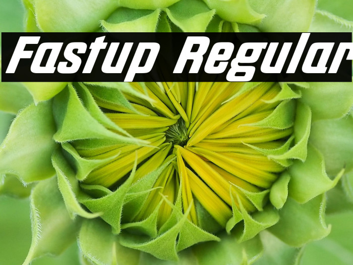 Fastup Regular Example 2