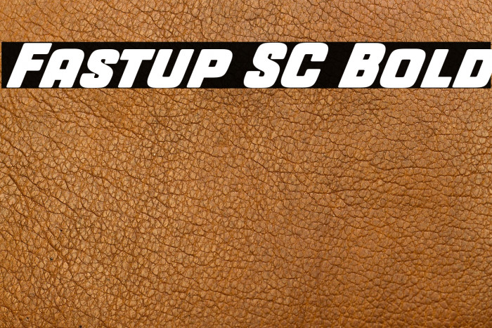 Fastup SC Bold Example 2