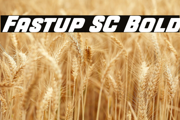 Fastup SC Bold Example 3