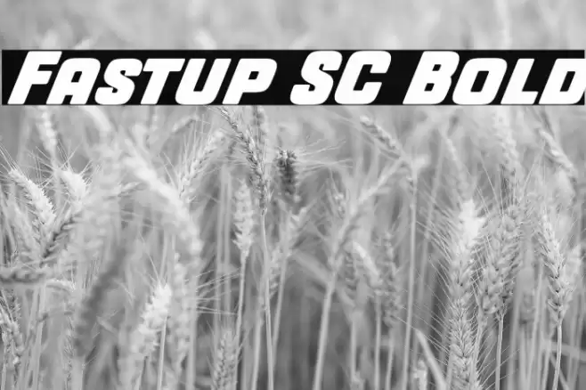 Fastup SC Bold Polices examples