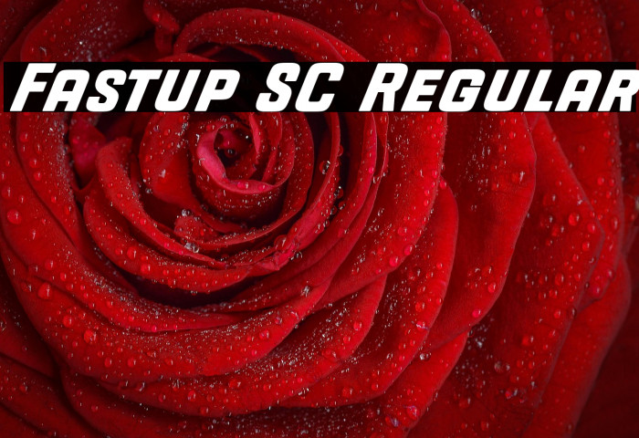 Fastup SC Regular Example 2