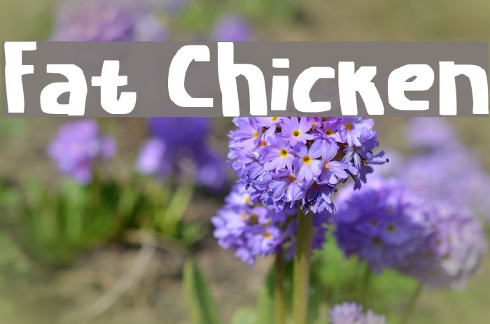 Fat Chicken Font examples