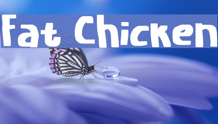 Fat Chicken Font examples