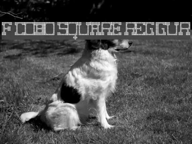 Fat Cowboy SQUARE Regular Font examples