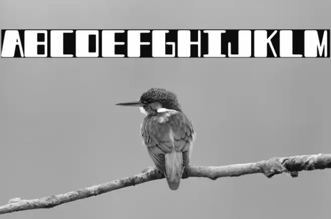 Fat Enterprise Font examples