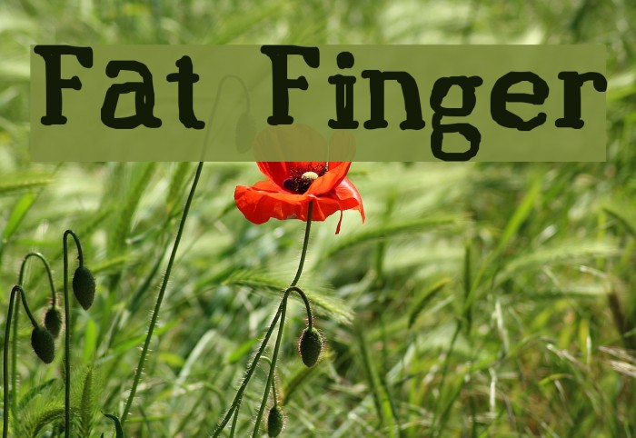 Fat Finger Font examples