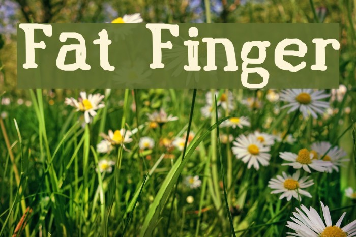 Fat Finger Font examples