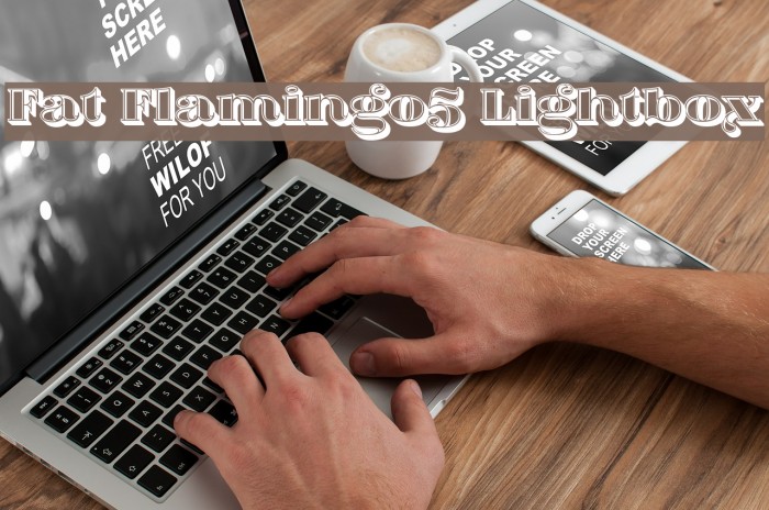 Fat Flamingo5 Lightbox Example 1