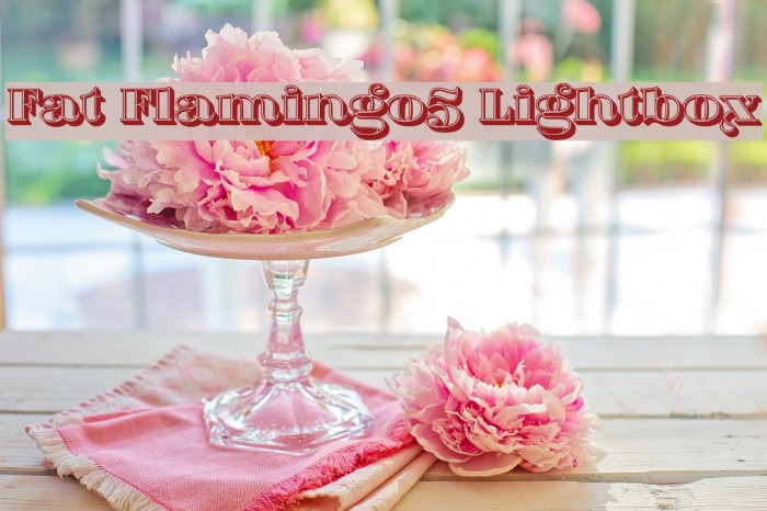 Fat Flamingo5 Lightbox Example 2