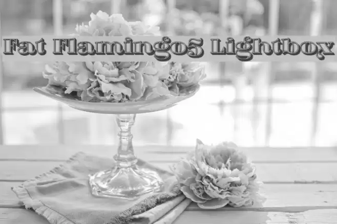 Fat Flamingo5 Lightbox Font examples
